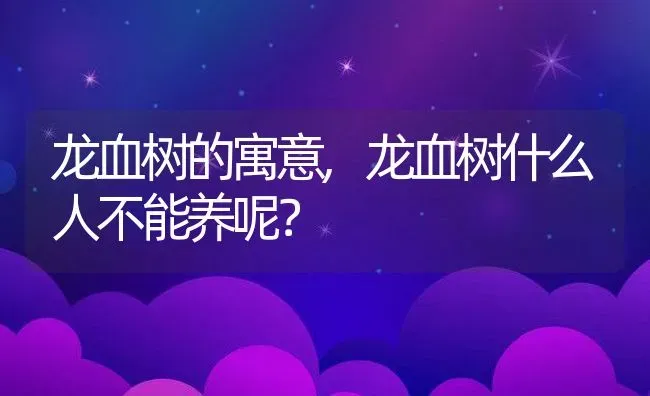 龙血树的寓意,龙血树什么人不能养呢？ | 养殖常见问题