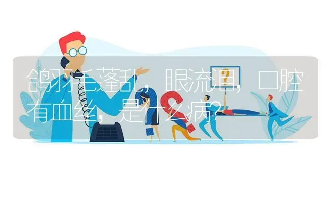 鸽羽毛蓬乱,眼流泪,口腔有血丝,是什么病? | 养殖问题解答
