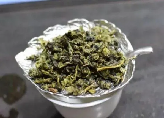 植物常识问题|乌龙茶的功效与作用