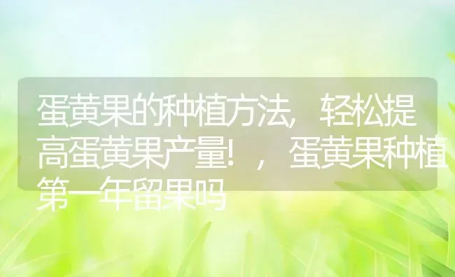 蛋黄果的种植方法,轻松提高蛋黄果产量!,蛋黄果种植第一年留果吗 | 养殖常见问题