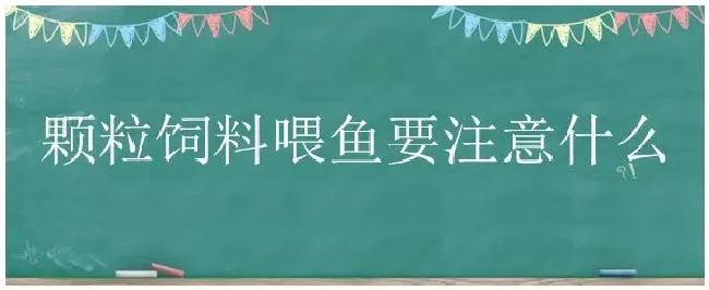 颗粒饲料喂鱼要注意什么 | 农业常识