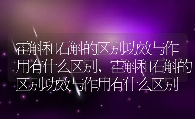 霍斛和石斛的区别功效与作用有什么区别,霍斛和石斛的区别功效与作用有什么区别 | 养殖常见问题