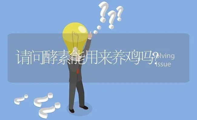 请问酵素能用来养鸡吗? | 养殖问题解答