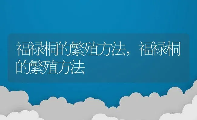 福禄桐的繁殖方法,福禄桐的繁殖方法 | 养殖常见问题