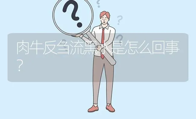 肉牛反刍流黑水是怎么回事? | 养殖问题解答