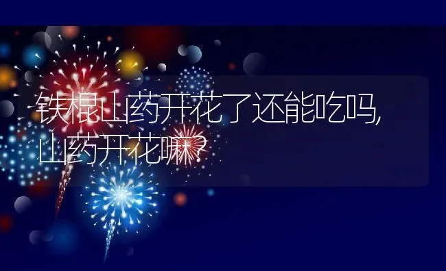 铁棍山药开花了还能吃吗,山药开花嘛？ | 养殖常见问题