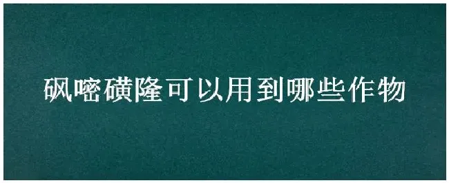 砜嘧磺隆可以用到哪些作物 | 三农答疑