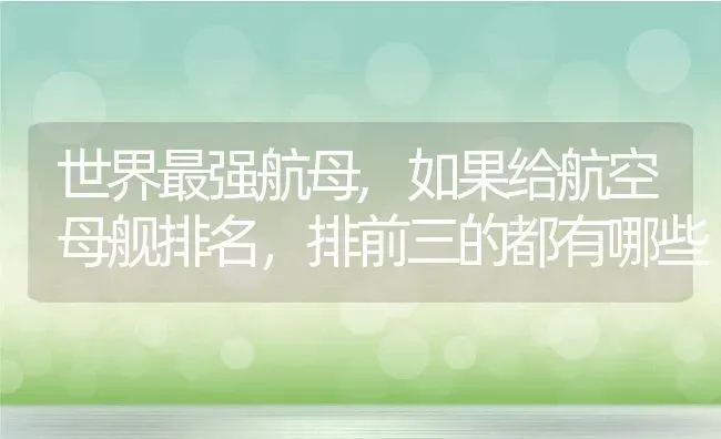 世界最强航母,如果给航空母舰排名，排前三的都有哪些 | 养殖常见问题