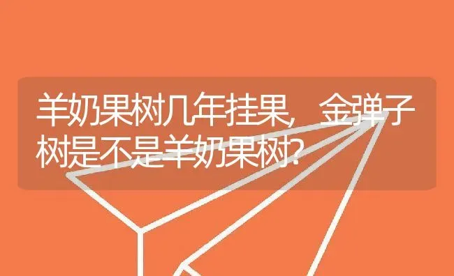 羊奶果树几年挂果,金弹子树是不是羊奶果树？ | 养殖常见问题