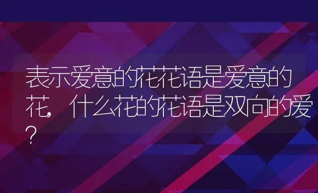 表示爱意的花花语是爱意的花,什么花的花语是双向的爱？ | 养殖常见问题