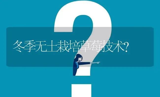冬季无土栽培草莓技术? | 养殖问题解答