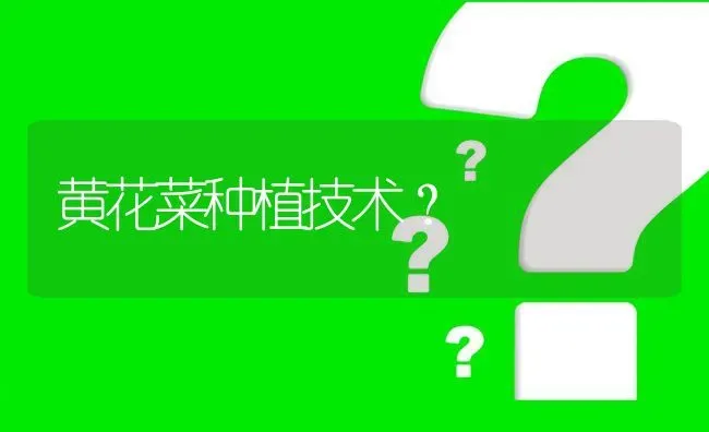 黄花菜种植技术? | 养殖问题解答