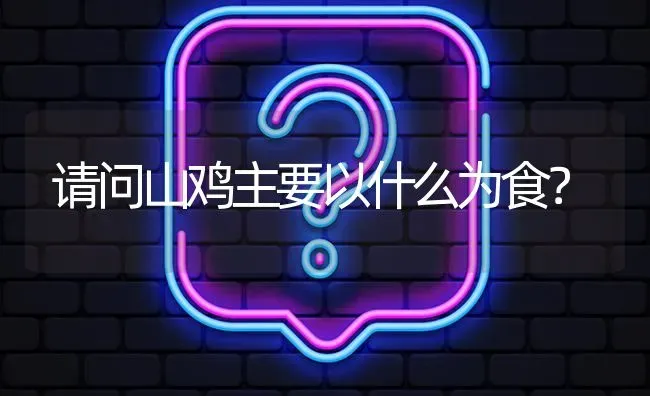请问山鸡主要以什么为食? | 养殖问题解答