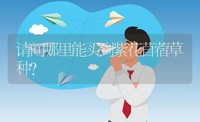 请问哪里能买到紫花苜蓿草种? | 养殖问题解答