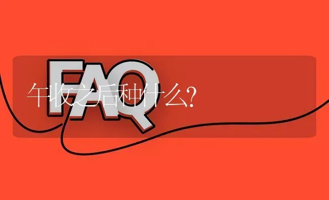 午收之后种什么? | 养殖问题解答