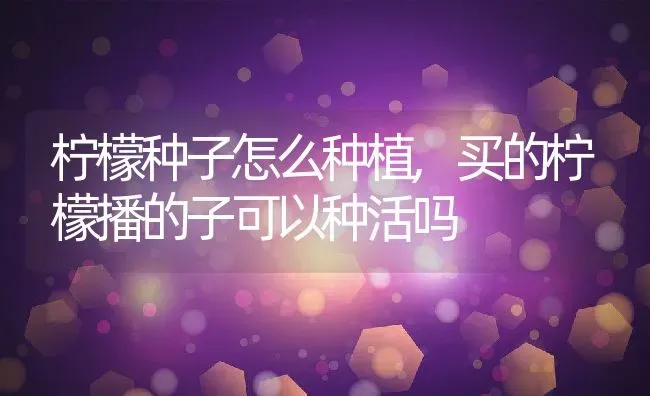 柠檬种子怎么种植,买的柠檬播的子可以种活吗 | 养殖常见问题