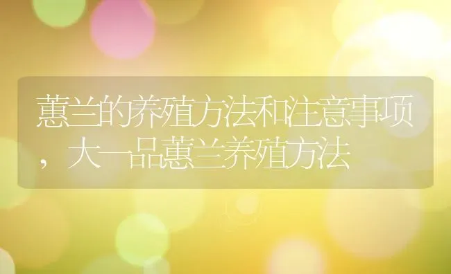 蕙兰的养殖方法和注意事项,大一品蕙兰养殖方法 | 养殖常见问题