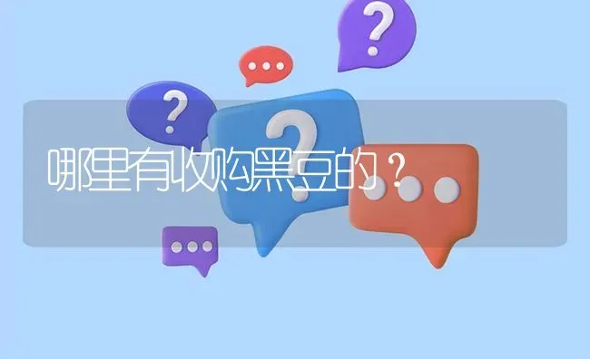 哪里有收购黑豆的? | 养殖问题解答