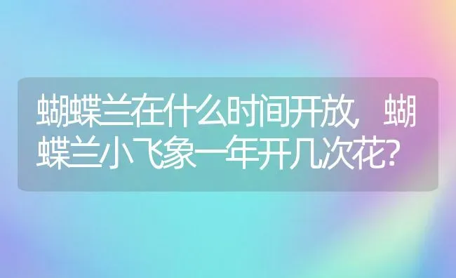 蝴蝶兰在什么时间开放,蝴蝶兰小飞象一年开几次花？ | 养殖常见问题