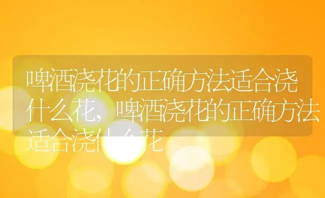 啤酒浇花的正确方法适合浇什么花,啤酒浇花的正确方法适合浇什么花 | 养殖常见问题