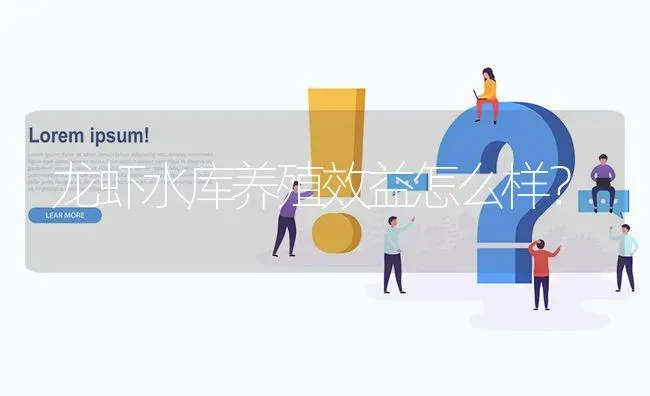 龙虾水库养殖效益怎么样? | 养殖问题解答