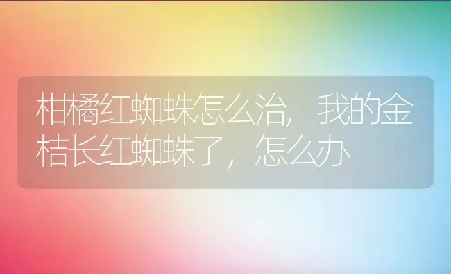 柑橘红蜘蛛怎么治,我的金桔长红蜘蛛了，怎么办 | 养殖常见问题