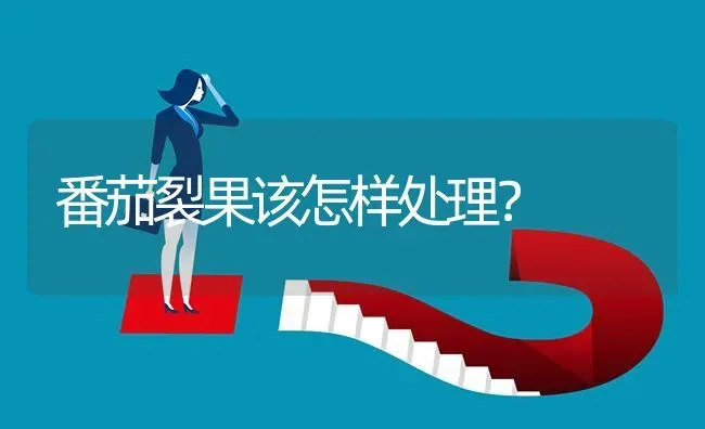 番茄裂果该怎样处理? | 养殖问题解答