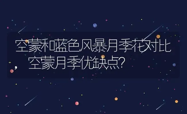 空蒙和蓝色风暴月季花对比,空蒙月季优缺点？ | 养殖常见问题