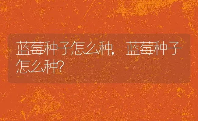 蓝莓种子怎么种,蓝莓种子怎么种？ | 养殖常见问题