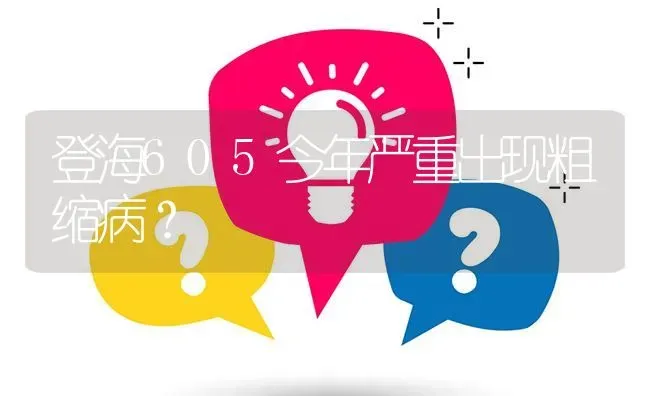 登海605今年严重出现粗缩病? | 养殖问题解答