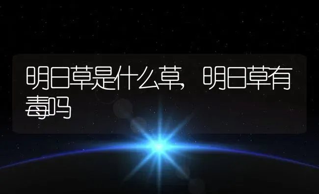 藿香的功效与作用及食用方法,藿香的功效与作用及食用方法 | 养殖常见问题