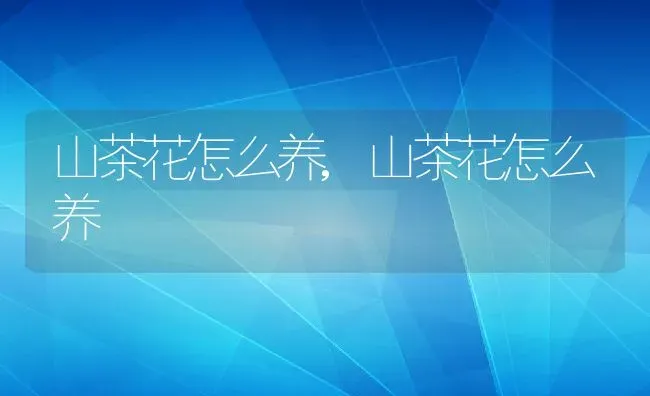 山茶花怎么养,山茶花怎么养 | 养殖常见问题