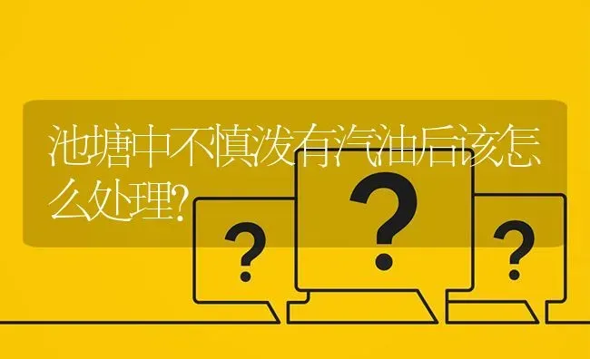 池塘中不慎泼有汽油后该怎么处理? | 养殖问题解答