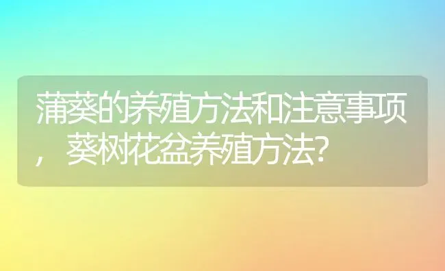 蒲葵的养殖方法和注意事项,葵树花盆养殖方法？ | 养殖常见问题