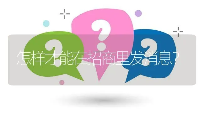 怎样才能在招商里发消息? | 养殖问题解答