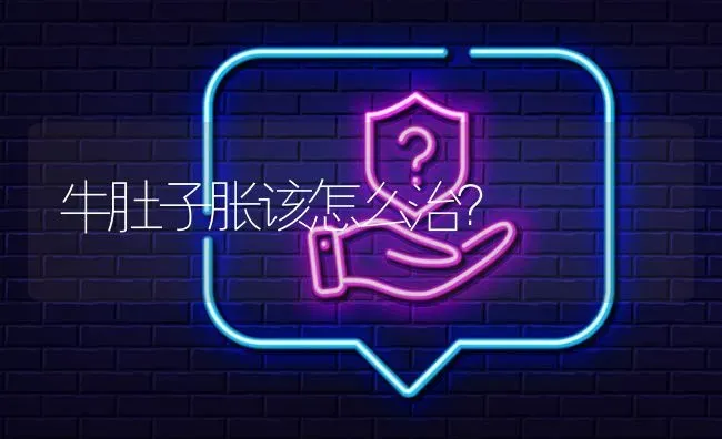 牛肚子胀该怎么治? | 养殖问题解答