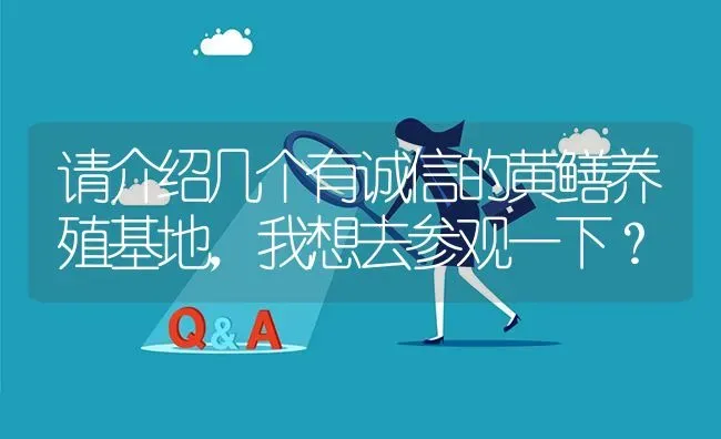 请介绍几个有诚信的黄鳝养殖基地,我想去参观一下? | 养殖问题解答