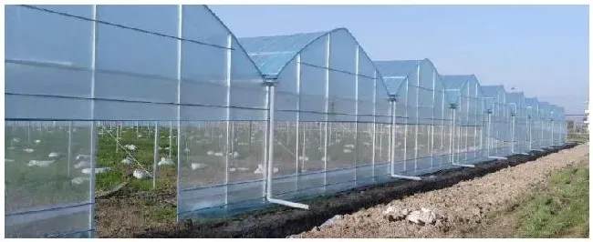 冬季大棚用什么方法升温大棚取暖灯一亩用几个 | 三农问答