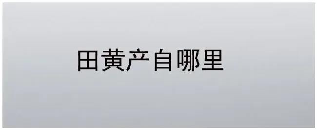 田黄产自哪里 | 科普知识