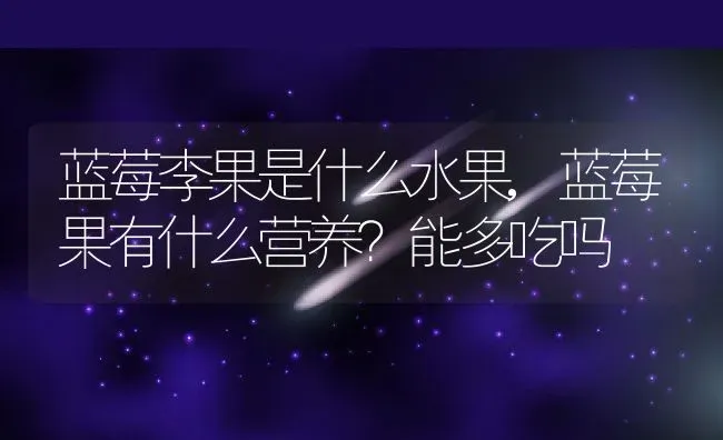 蓝莓李果是什么水果,蓝莓果有什么营养？能多吃吗 | 养殖常见问题