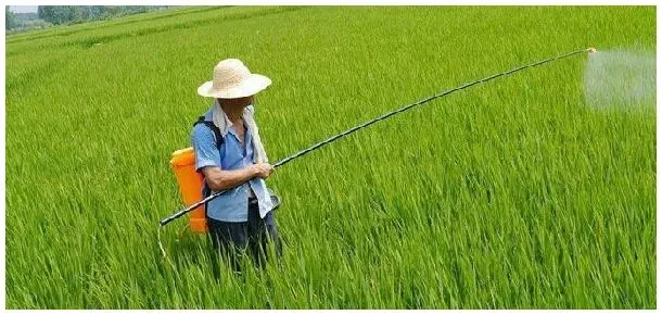 有机磷农药中毒瞳孔变化 | 生活常识