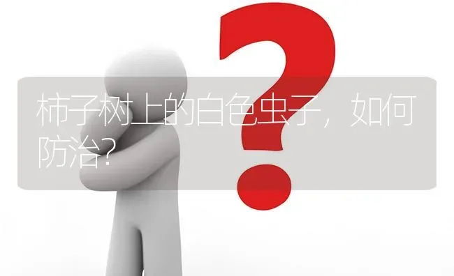 柿子树上的白色虫子,如何防治? | 养殖问题解答