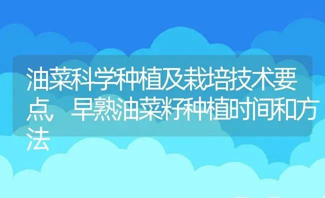 油菜科学种植及栽培技术要点,早熟油菜籽种植时间和方法 | 养殖常见问题