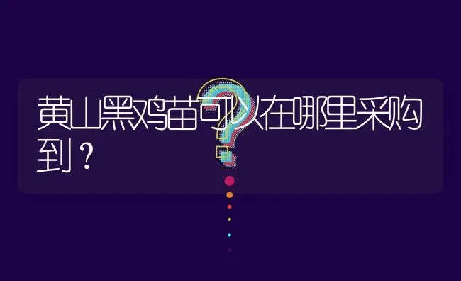 黄山黑鸡苗可以在哪里采购到? | 养殖问题解答
