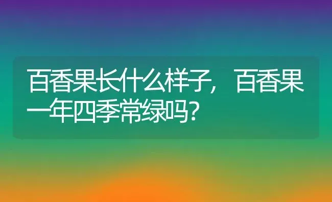 百香果长什么样子,百香果一年四季常绿吗？ | 养殖常见问题