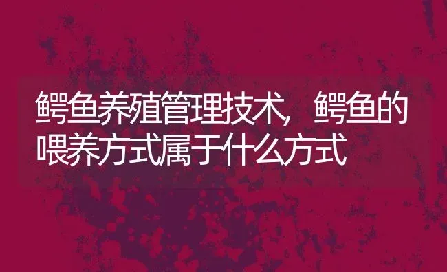 鳄鱼养殖管理技术,鳄鱼的喂养方式属于什么方式 | 养殖常见问题