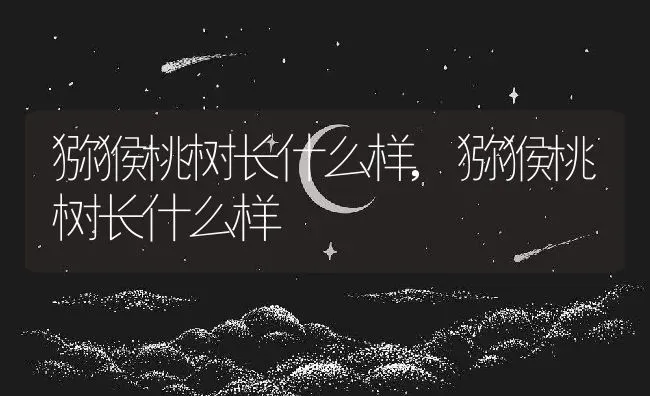 猕猴桃树长什么样,猕猴桃树长什么样 | 养殖常见问题