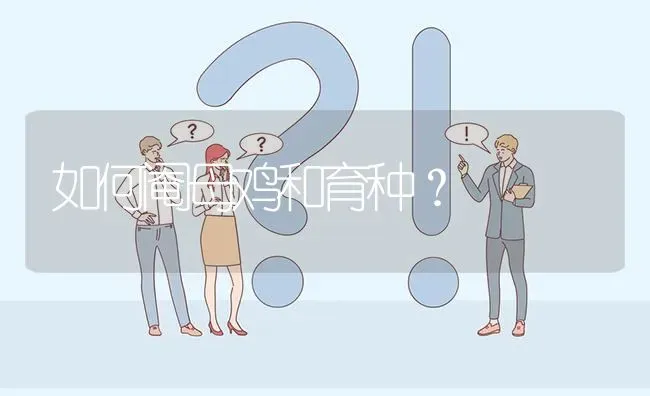 如何阉母鸡和育种? | 养殖问题解答