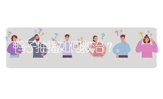 鸭子抽搐如何救治? | 养殖问题解答