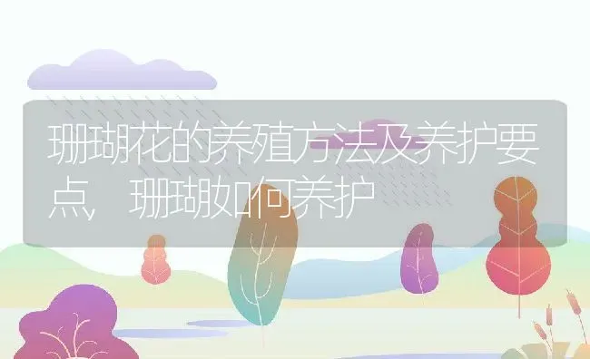 珊瑚花的养殖方法及养护要点,珊瑚如何养护 | 养殖常见问题